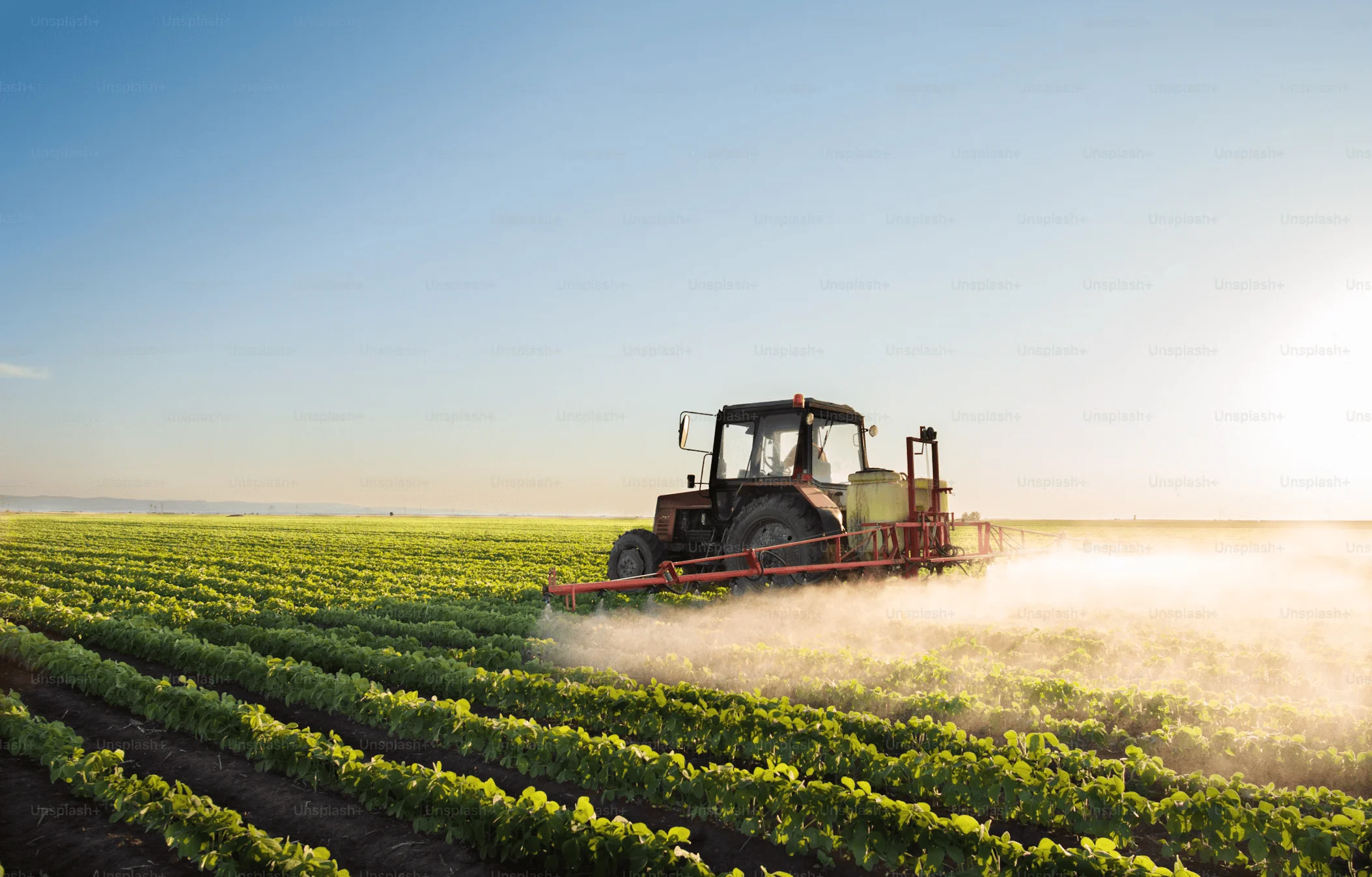 The Complete Guide to Agribusiness: Insights, Data & Trends (2025)