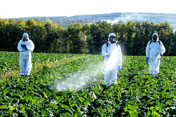 Best Pesticide Control Service in USA - Protect Your Home & Business
